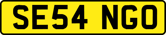 SE54NGO