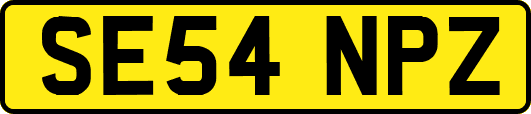 SE54NPZ