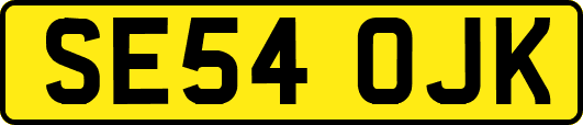 SE54OJK