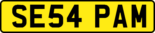 SE54PAM