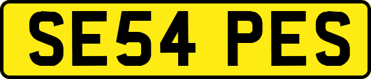 SE54PES
