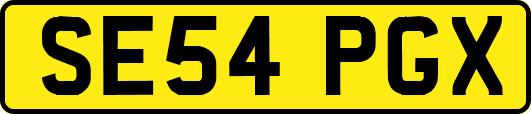 SE54PGX