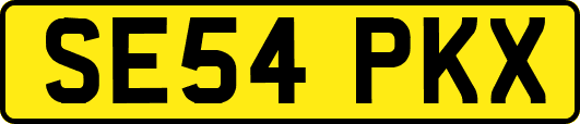SE54PKX