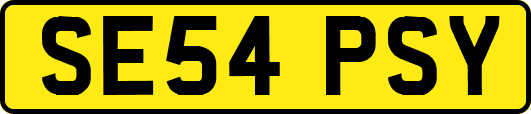 SE54PSY