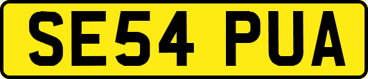 SE54PUA