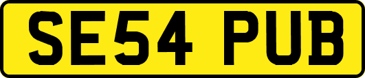 SE54PUB