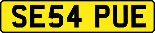 SE54PUE