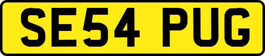 SE54PUG