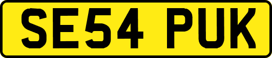 SE54PUK