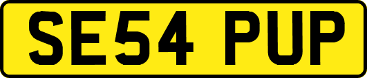 SE54PUP