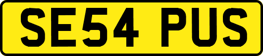 SE54PUS