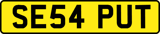 SE54PUT