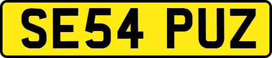 SE54PUZ