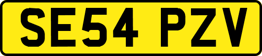 SE54PZV