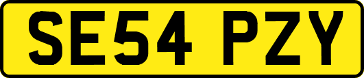 SE54PZY