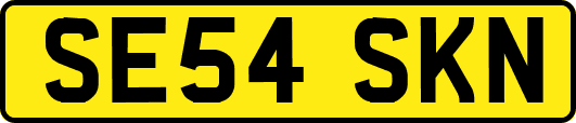 SE54SKN