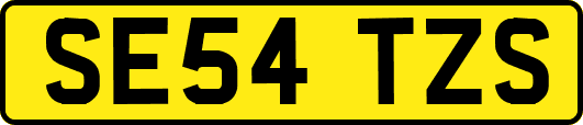 SE54TZS