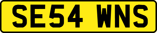SE54WNS