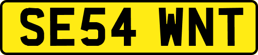 SE54WNT