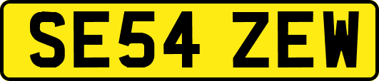 SE54ZEW