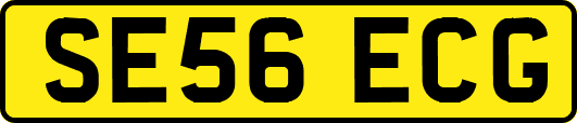 SE56ECG