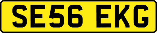 SE56EKG