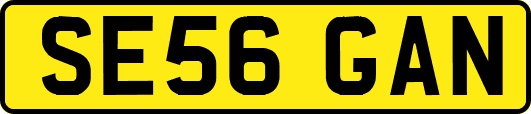 SE56GAN