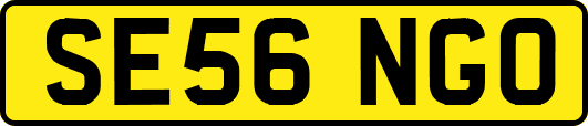 SE56NGO