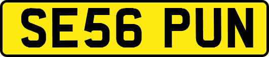 SE56PUN