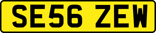 SE56ZEW