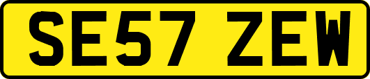 SE57ZEW