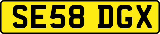 SE58DGX