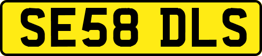 SE58DLS