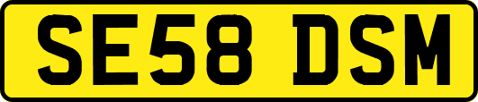 SE58DSM