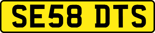 SE58DTS