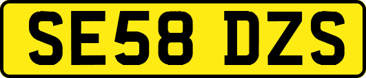 SE58DZS