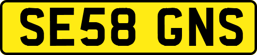 SE58GNS