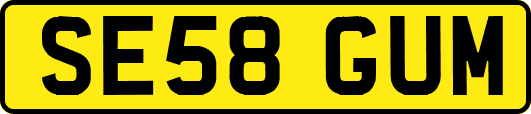 SE58GUM