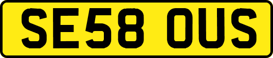 SE58OUS