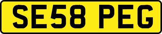 SE58PEG