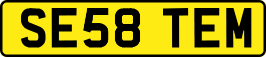 SE58TEM