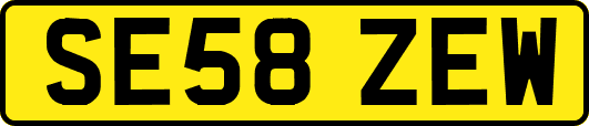 SE58ZEW