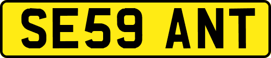 SE59ANT