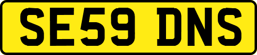 SE59DNS