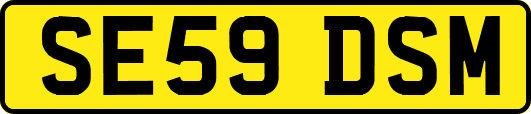 SE59DSM