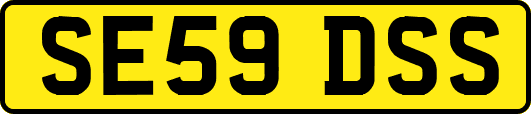 SE59DSS