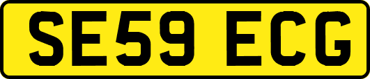 SE59ECG