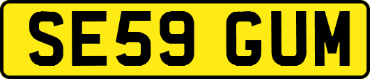 SE59GUM