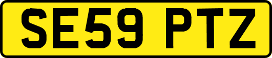 SE59PTZ