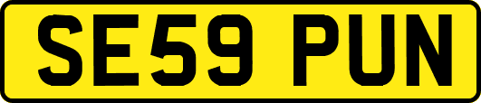SE59PUN